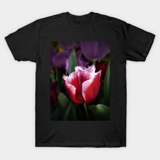 Fringed Pink and White Tulip T-Shirt